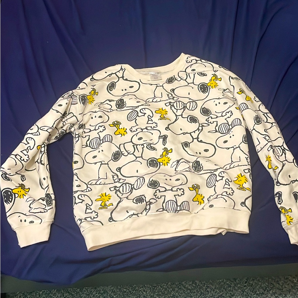 Peanuts Charlie Brown Sweater